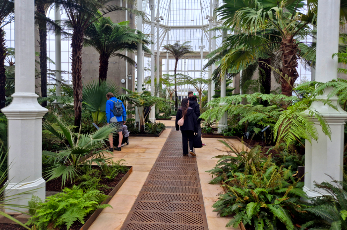 RBGE Victorian Palm House visitor journey