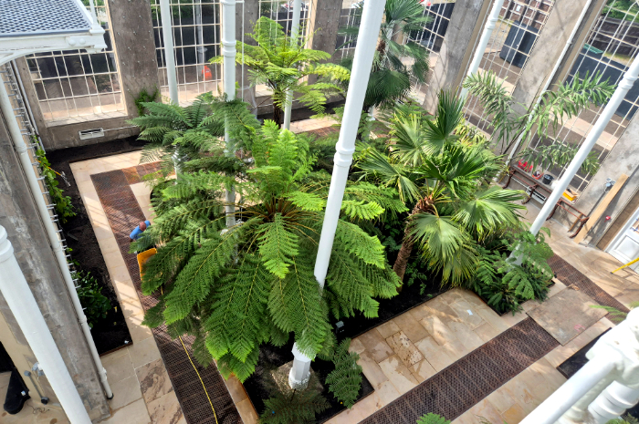 RBGE Victorian Palm House elevated view