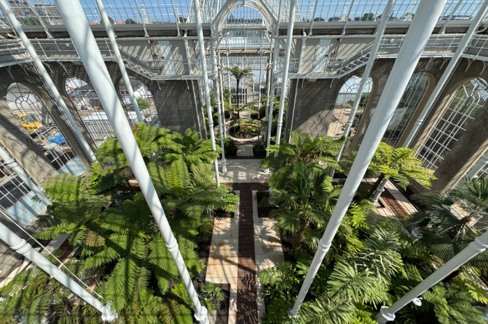 RBGE Victorian Palm House restored Winter Gardens interior with planting and seating