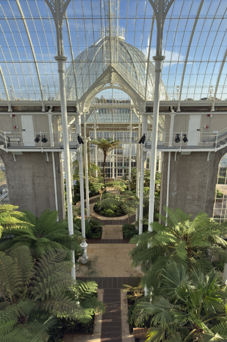 RBGE Victorian Palm House interior