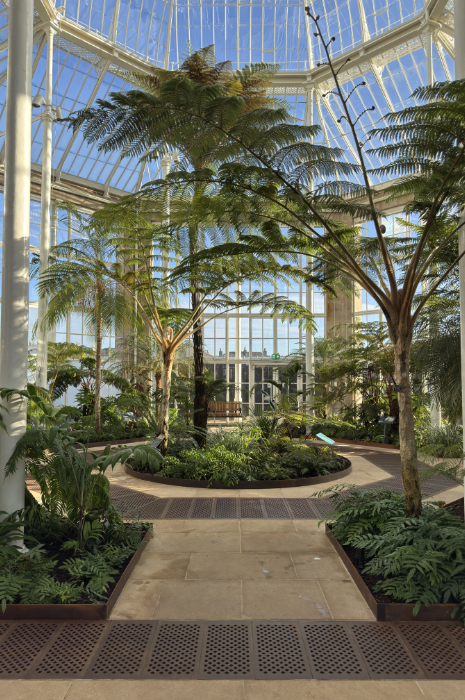 RBGE Victorian Palm House interior
