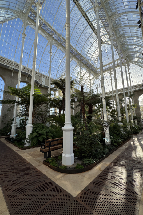 RBGE Victorian Palm House visitor journey