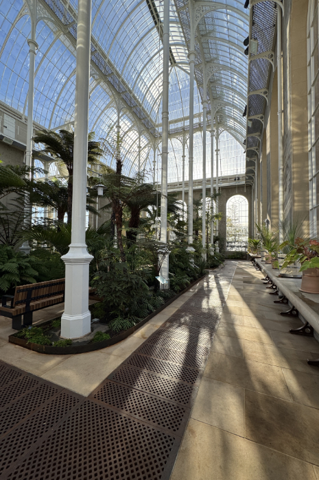 RBGE Victorian Palm House elevated view