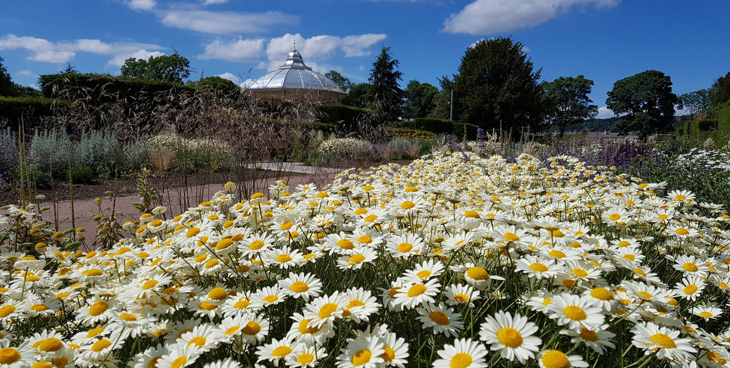 Saughton Park, Edinburgh